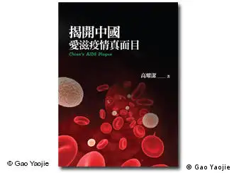 高耀洁的新书《揭开中国艾滋病疫情的真面目》