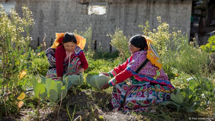 Peru Frauen bei der Ernte in Cusco