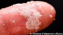 Mikroplastik-Partikel an einem Finger