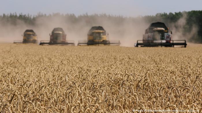 Combine harvesters n the fields of Novovodolazhsky district of Kharkiv region, Ukraine, in 2017