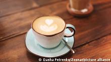 From above of ceramic cups on saucers with freshly brewed latte with hearts on froth || Modellfreigabe vorhanden