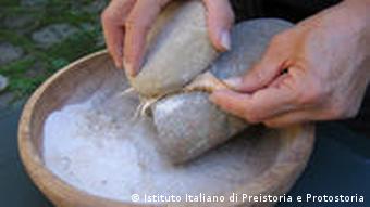 Grinding stones above a wooden bowl filled with cattail flour