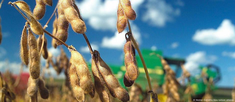 Entre os principais produtos vendidos pelo Brasil para a União Europeia está a soja