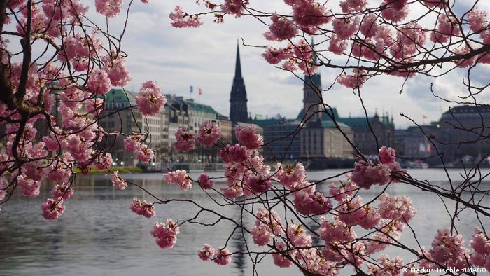 Još nikada mart u Nemačkoj nije bio ovako sunčan, blag i bez kiše. Nije ni čudo što je trešnja, kao ovde u Hamburgu, procvetala mnogo ranije nego inače. Nažalost, već ovih dana očekuju se hladniji dani.