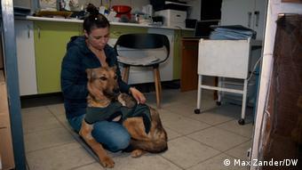 Κατοικίδια πόλεμος