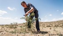Tony Rinaudo demonstrates pruning.
01_DerWaldmacher_TonyRinaudo_WorldVision