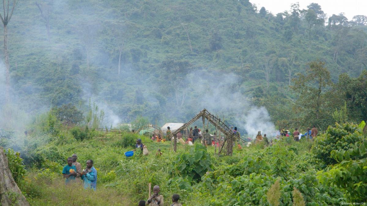 1199px x 674px - Congo: Deadly violence in a national park â€“ DW â€“ 04/06/2022