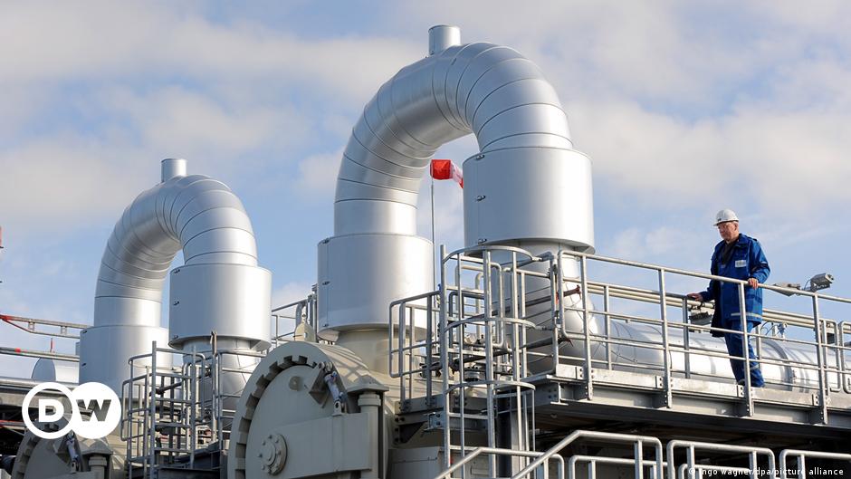 Germany considers nationalizing another major gas importer — reports