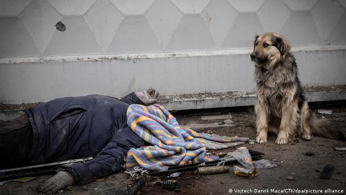 Un perro acompaña a un civil asesinado en Bucha, tras un intenso ataque militar ruso contra la población civil. (Foto: 04.04.2022)