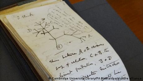 UK, Cambridge | Vermisste Darwin-Notizbücher nach gut 20 Jahren aufgetaucht