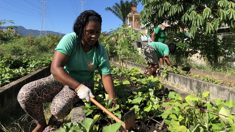 Grüne Oasen in Rios Favelas: Gärtnern für ein besseres Leben