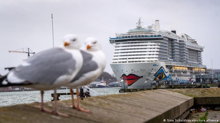 The large cruise ship Aidacosma sits in the harbor with seagulls in the foreground.