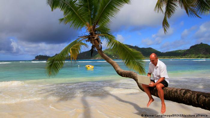 A man sits with a laptop on a palm tree in front of the blue seas in the Seychelles.