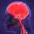 رسمة ثلاثية الأبعاد لتشريح الدماغ يظهر فيها الجهاز المركزي للجهاز العصبي البشري. 