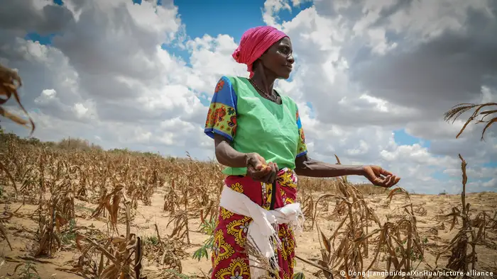 洪水和大旱使非洲某些地区的农业和畜牧业几乎无法维持。因此，数百万人正在经历饥饿。在埃塞俄比亚、索马里和肯尼亚，已经有许多人死于饥饿。