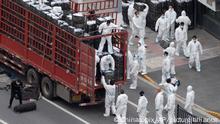 Workers in PPE unload groceries from a truck before distributing them to local residents under the COVID-19 lockdown in Shanghai, China Tuesday, April 05, 2022. The COVID-19 outbreak in China's largest metropolis of Shanghai remains extremely grim amid an ongoing lockdown confining around 26 million people to their homes, a city official said Tuesday. (Chinatopix Via AP) CHINA OUT