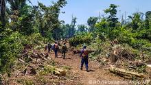 Handout picture released by the Nicaraguan Army showing soldiers working to put out a forest fire at the Indio Maiz Biological Reserve, near the community of San Juan de Nicaragua in southeastern Nicaragua, on April 8, 2018. (Photo by HO / Nicaraguan Army / AFP) / RESTRICTED TO EDITORIAL USE - MANDATORY CREDIT AFP PHOTO / NICARAGUAN ARMY - NO MARKETING NO ADVERTISING CAMPAIGNS - DISTRIBUTED AS A SERVICE TO CLIENTS