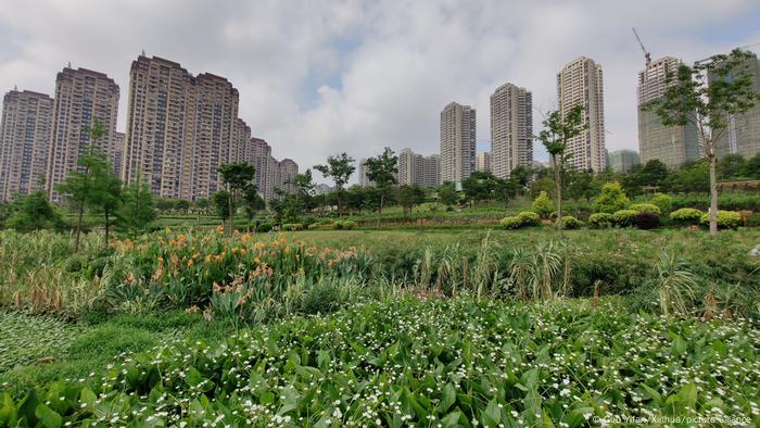 Nakaohe wetland park in Nanning of south China's Guangxi Zhuang Autonomous Region