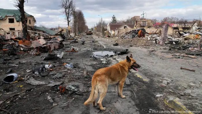 Ukraine Krieg Russland Zerstörung Butscha