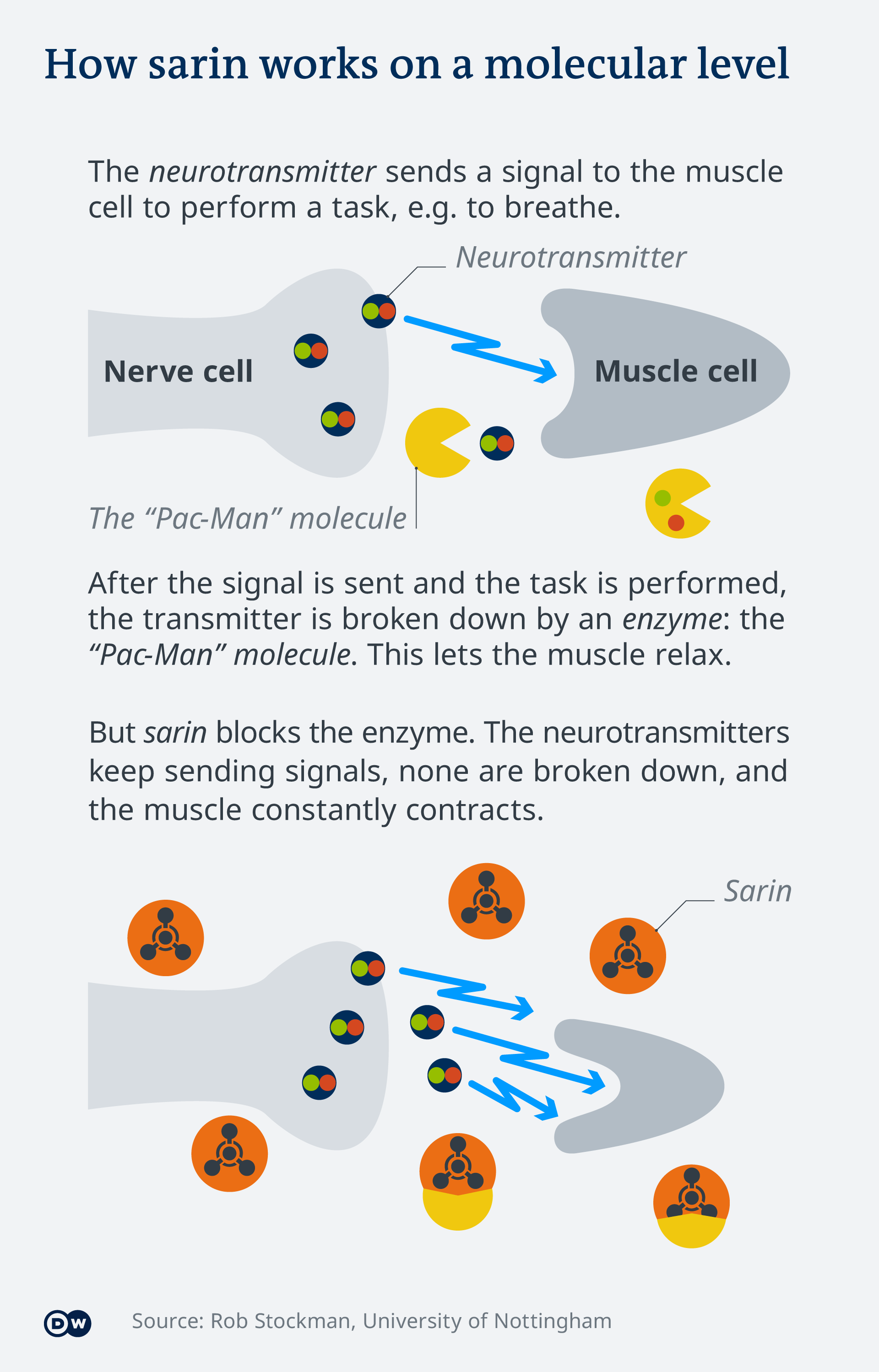 vx gas effects on humans