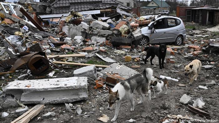 Ukraine | zerstörte Häuser in Bohdanivka 