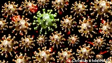 FOTOMONTAGE, Grüner Coronavirus umgeben von roten Coronaviren, Symbolfoto Omikron-Subtyp BA.2 *** PHOTOMONTAGE, Green coronavirus surrounded by red coronavirus, symbol photo Omicron subtype BA 2.