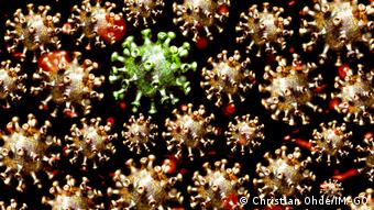 Κορωνοϊός Κορωνοϊός