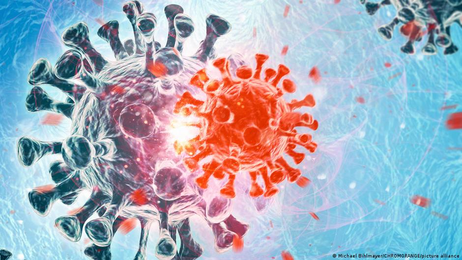 最新的Omicron亞型的傳染性更強，但致命性較低