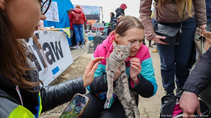 Una refugiada ucraniana cruzó la frontera con su querido gato, tras pasar horas esperando en la tierra de nadie entre Ucrania y Polonia. 