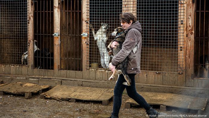 Una voluntaria, Oleksandra Tsyfruliak, lleva un perro evacuado de Irpin, en la región de Kiev, y lo entrega al refugio de animales Todo el mundo tiene una segunda oportunidad.