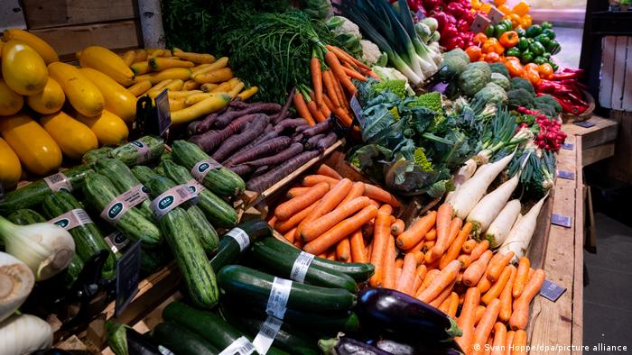 Different vegetables in a supermarket
