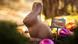 Picture of a chocolate Easter bunny. Picture of a chocolate Easter bunny.