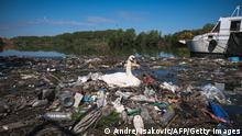 TOPSHOT - A swan makes a nest out of plastic trash near a sewage drain on the Danube river bank close to downtown Belgrade on April 18, 2022. - Around a third of Belgrade, a city of 1.6 million, has no connection to drainage systems and instead relies on the septic tanks that the trucks empty straight into the rivers. The rest shunt their unprocessed waste into the river through around 100 sewage drains. (Photo by Andrej ISAKOVIC / AFP) (Photo by ANDREJ ISAKOVIC/AFP via Getty Images)