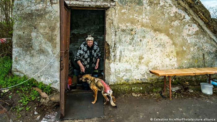 Ukraine, Luch | eine Frau kümmert sich um einen Verletzten Hund