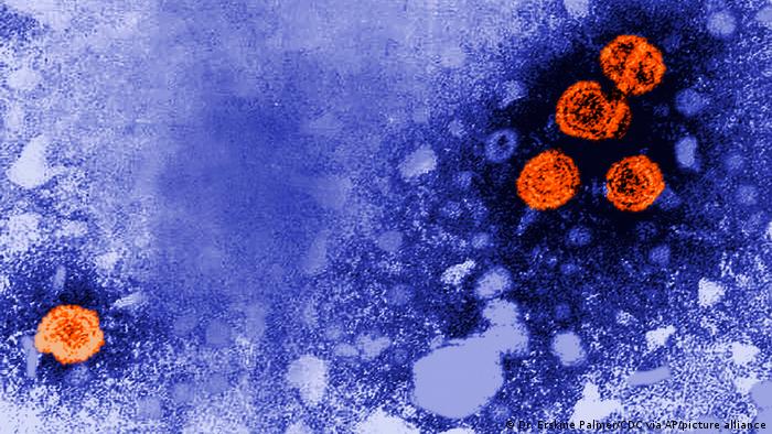 हिपेटाइटिस बी वायरस की माइक्रोस्कोप से ली गई तस्वीर