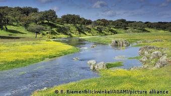 Εθνικό πάρκο στο Αλεντέζου