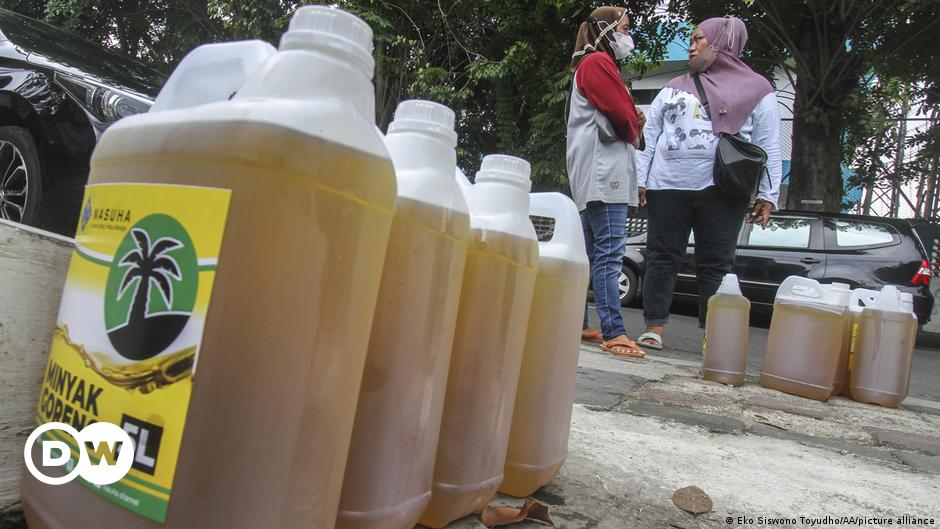 Indonesia larang ekspor minyak sawit  Berita |  DW