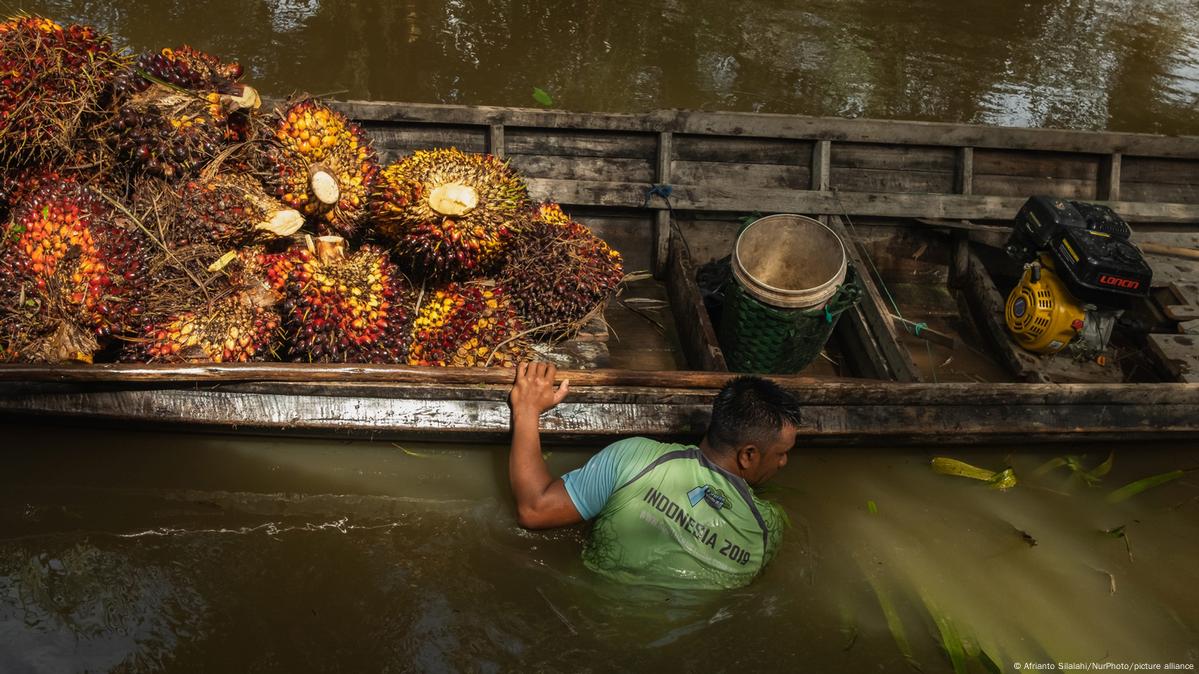 Untung Rugi Penggunaan Biodiesel Berbahan Dasar Minyak Sawit – DW – 27. ...