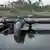 Leaking oil pipelines in the Niger Delta