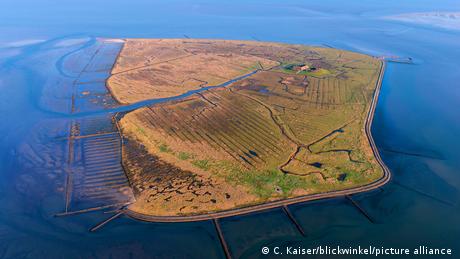 Die Halligen liegen mitten im Wattenmeer, einem Naturschutzgebiet. Hier leben nur wenige Menschen.