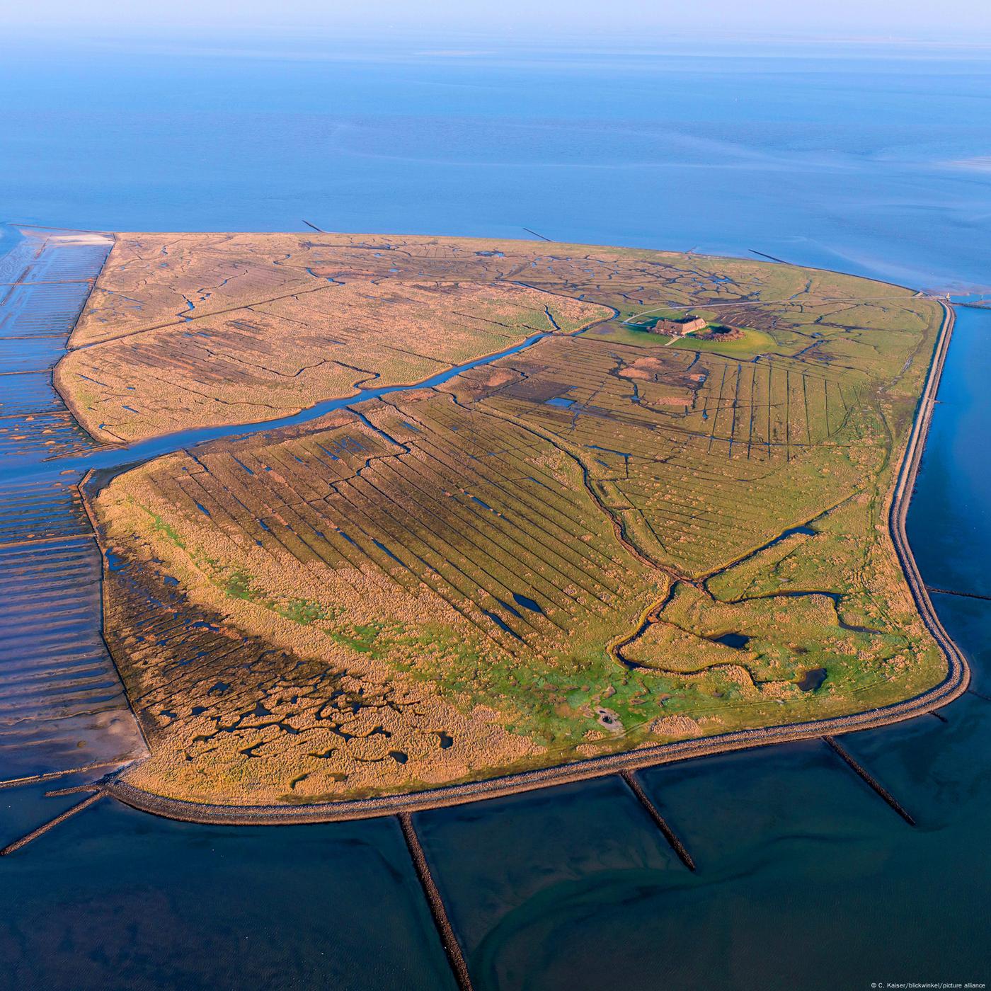 Zwischen Ebbe und Flut: das Leben auf einer Hallig