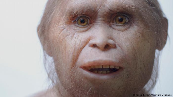 El descubrimiento de Homo floresiensis en 2004 fue, en palabras de Forth, equivalente al descubrimiento de un alienígena espacial. En la foto, una reconstrucción H. floresiensis.