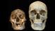 El cráneo de un "Homo floresiensis" (lzq.) comparado con un cráneo moderno. El cráneo de un "Homo floresiensis" (lzq.) comparado con un cráneo moderno.