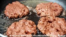 Vegane Hamburger Pattys aus Erbsenprotein, pflanzlich vegan Fleisch Ersatz Burger wird in einer heißen Pfanne mit Öl angebraten