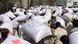 Afghan people carry sacks of rice, as part of humanitarian aid sent by China to Afghanistan Afghan people carry sacks of rice, as part of humanitarian aid sent by China to Afghanistan