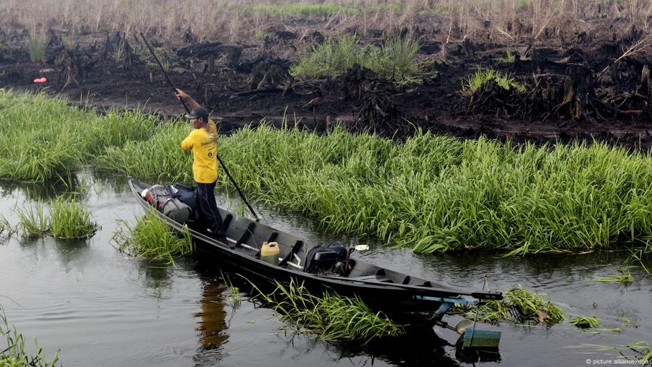 An Indonesian villager in a yellow shirt rows boat on a drained peat dome as he crosses a burned peatland