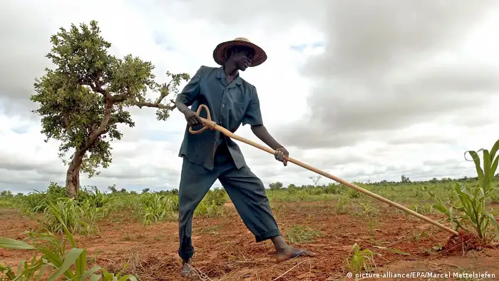 Un agriculteur travaille sur un champ près de Niamey, la capitale du Niger.