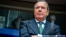 Gerhard Schröder (SPD), ehemaliger Bundeskanzler und jetziger Leiter Verwaltungsrat Nord Stream 2, wartet auf den Beginn der Anhörung im Wirtschaftsausschuss des Bundestags zum Pipeline-Projekt Nord Stream 2 im Sitzungssaal. Schröder hat die Parteien mit Blick auf die Bundestagswahl für ihre Haltung beim Klimaschutz kritisiert und mehr Aufmerksamkeit für die Wirtschaft gefordert. (zu dpa Schröder warnt vor Überhöhung des Klimaschutzes im Wahlkampf) +++ dpa-Bildfunk +++