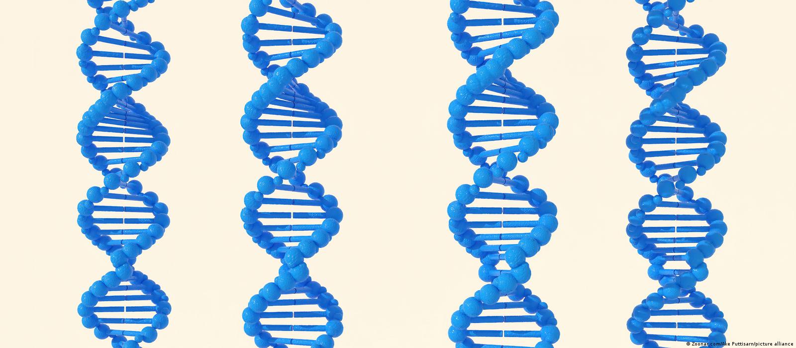 Genoma Humano — ANDREIA TORRES, image size:1600x700