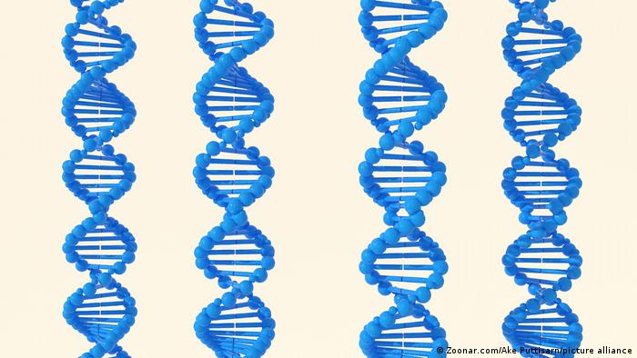صورة ثلاثية الأبعاد للحمض النووي DNA